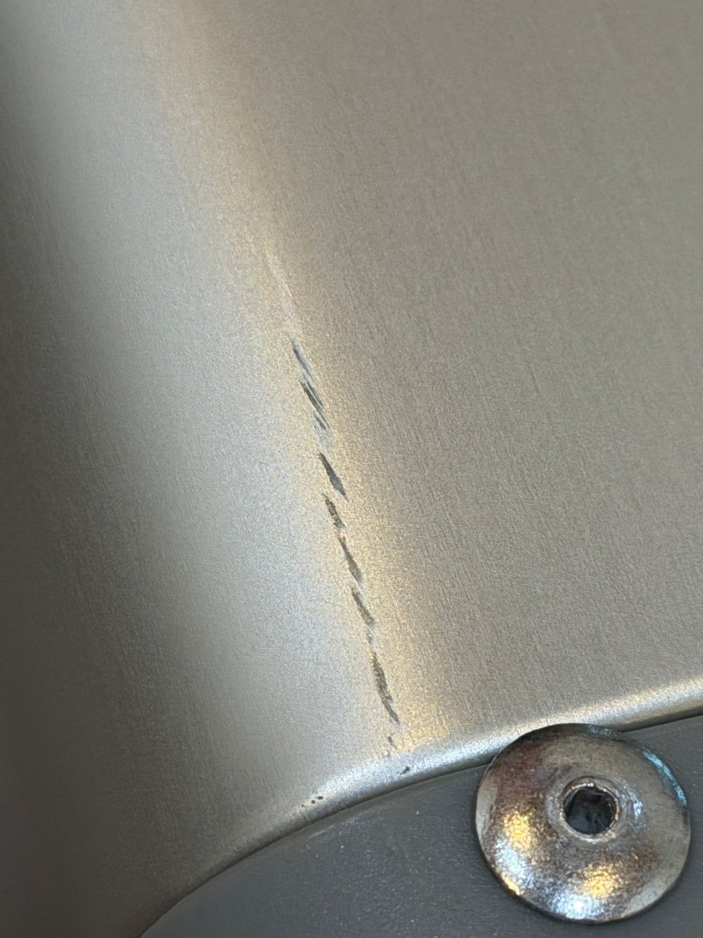 Blem 25" Leisure Traveler Roll Aboard in Star Light Silver - B1